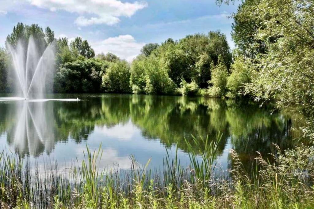 Emerald Lake House سيرني الجنوبية المظهر الخارجي الصورة